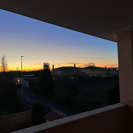 Apartament Fco Airport Titina'S House Fiumicino Zewnętrze zdjęcie