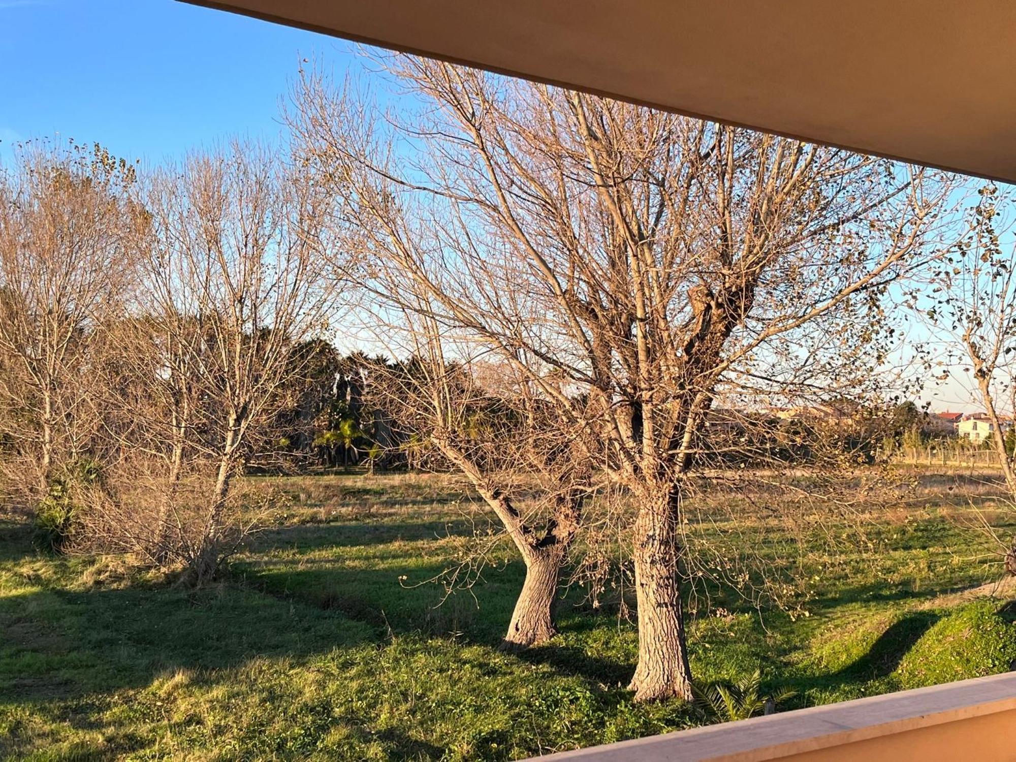 Apartament Fco Airport Titina'S House Fiumicino Zewnętrze zdjęcie